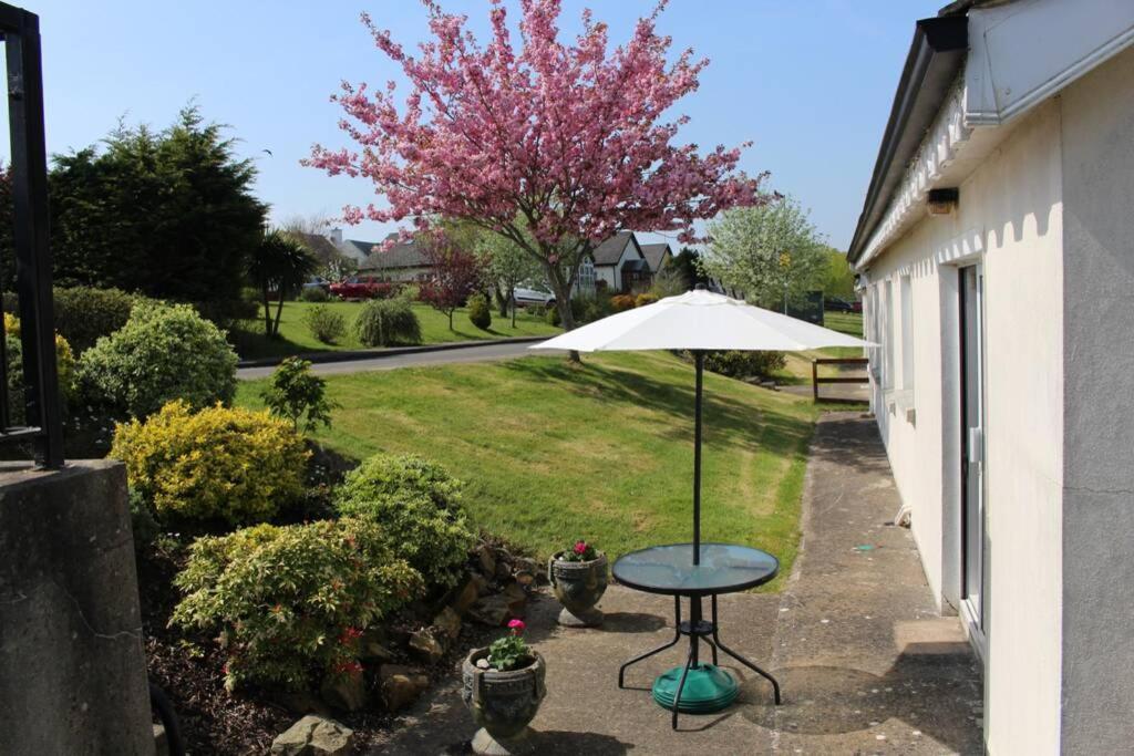 Sunny Bungalow Vila Courtown Exterior foto